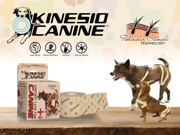 Kinesio-Tape-Product-Canine-Group