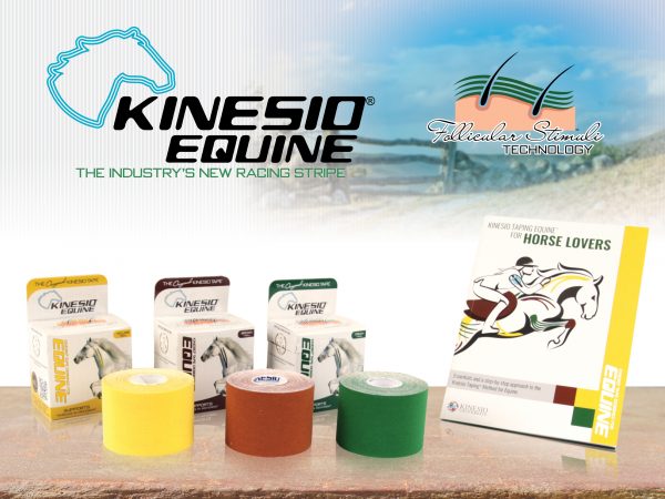 Kinesio-Tape-Product-Equine-Group